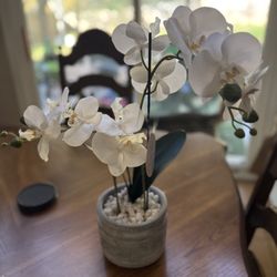 Faux Orchid Decor Plant