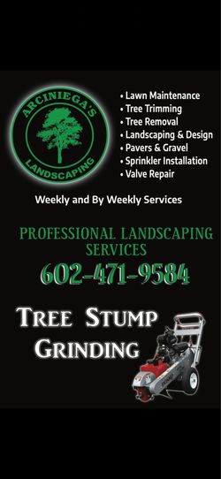 Yard maintenance clean ups