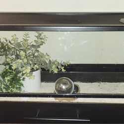 Glass Terrarium 30 x 12 x 12