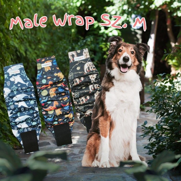 BELLY BANDS FOR MALE DOGS