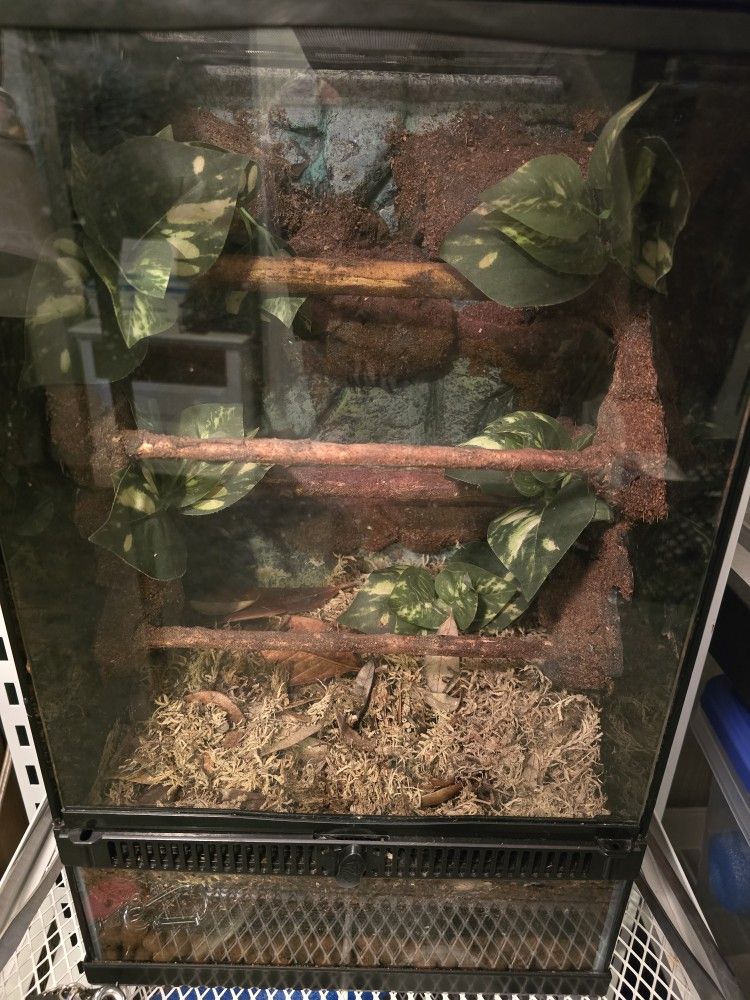 Bioactive Enclosure