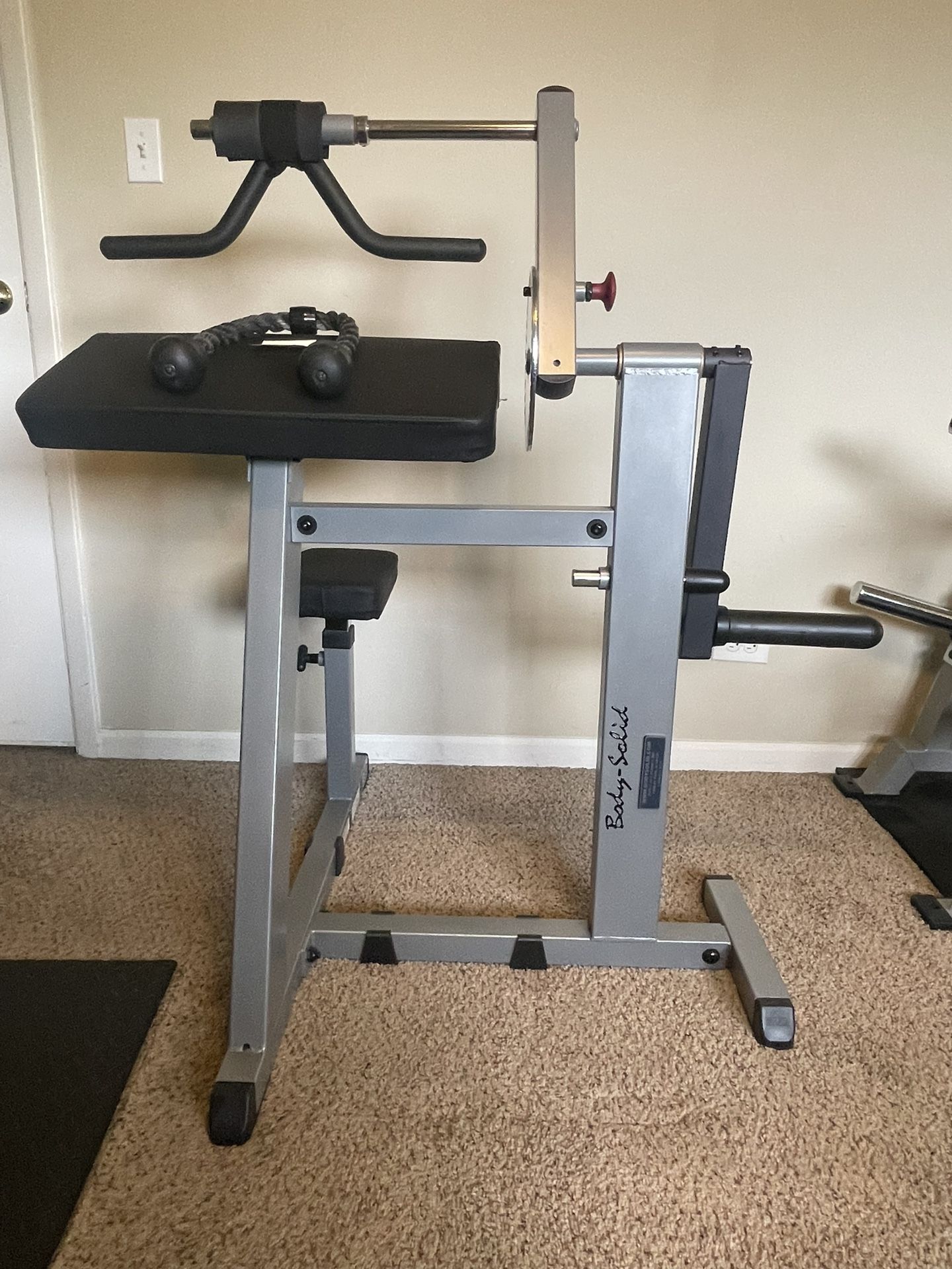 Body Solid Plate Loaded Bicep/Tricep Machine - Gym Equipment - Workout