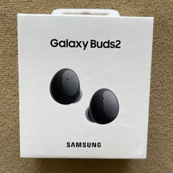 Samsung - Galaxy Buds2 True Wireless Earbud Headphones - Graphite 
