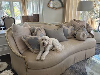 French-Style Curved Sofa with Gold Wood Frame