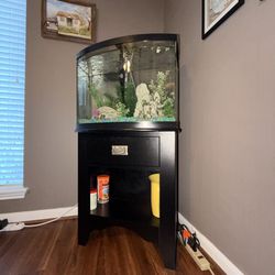 Fish Tank