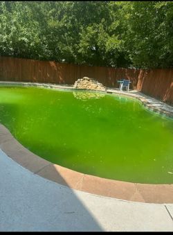 Pool For Sale 