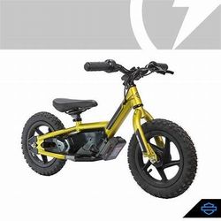 STACYC E BIKE HARLEY DAVIDSON