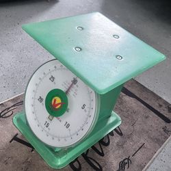 Scale 