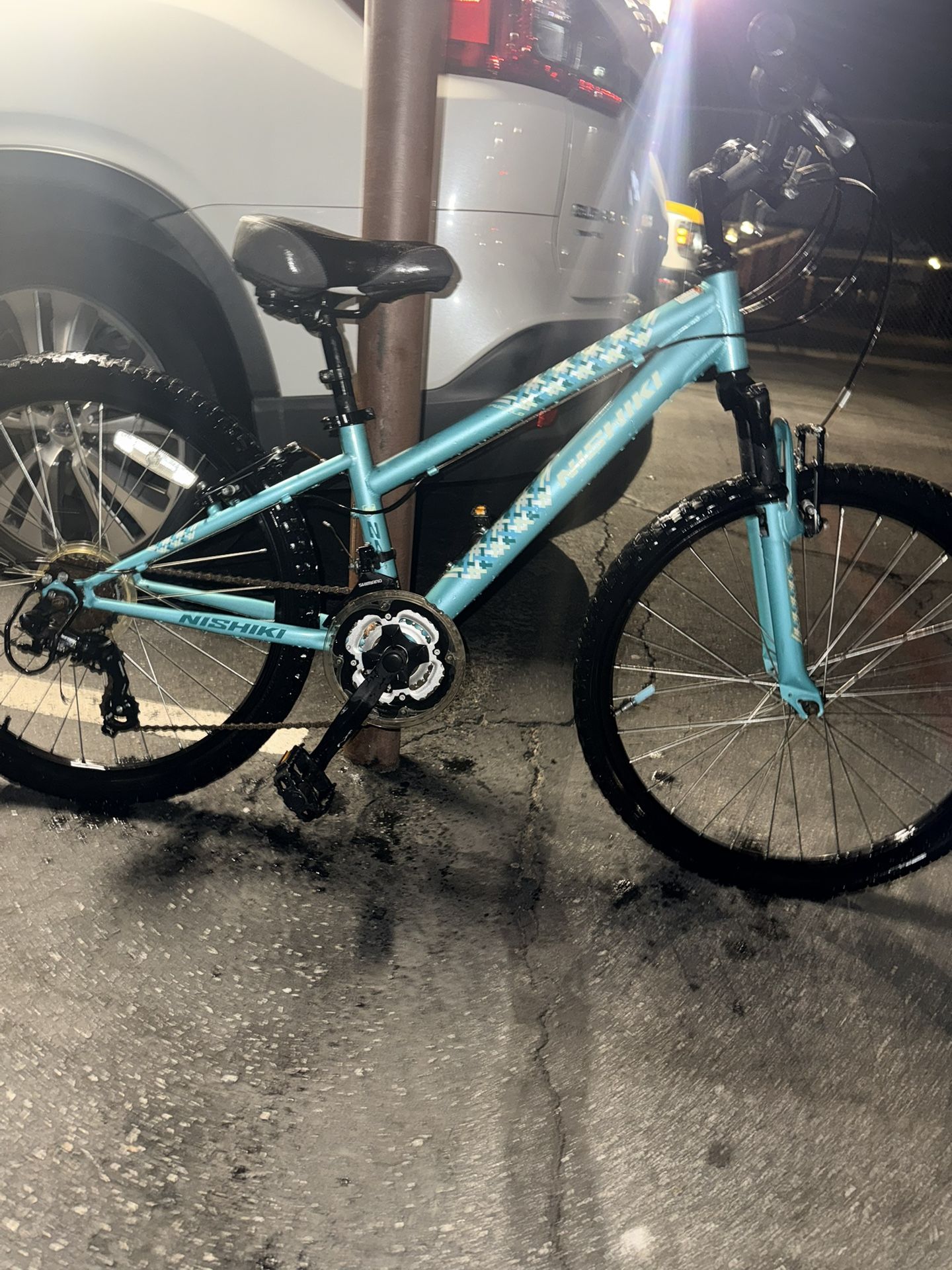Nishiki Bike