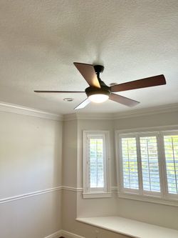 Fan with light