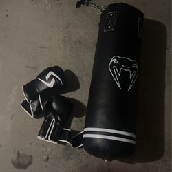 Punching Bag And Gloves