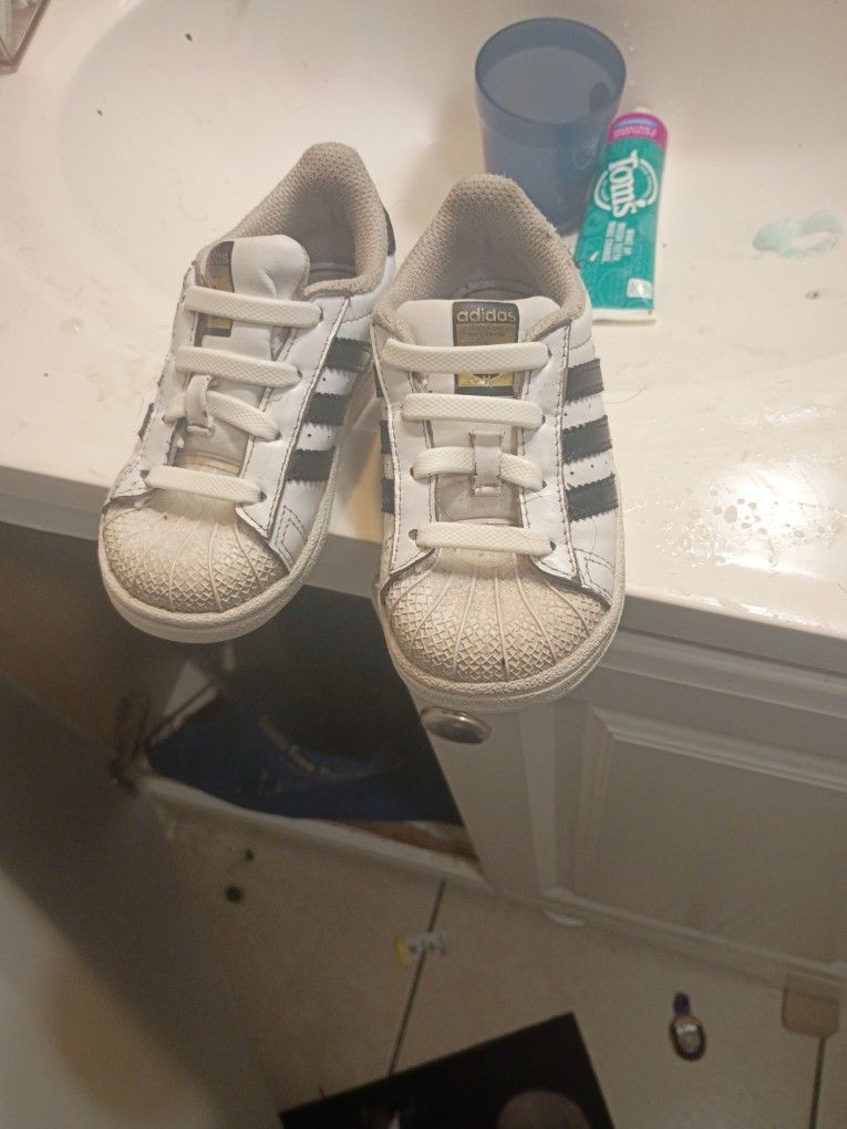 Even Baby's Rock  The  Super Star Adidas