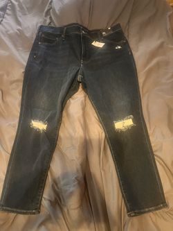 Express Women’s Size 18 Pants