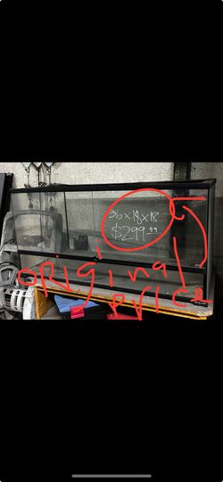 Terrarium (Tank for Lizards)