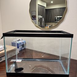Fish Tank Perfect Starter Kit Everything Included 
