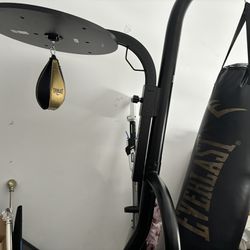 Everlast Speed And Heavy Bag With Stand 