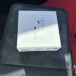 Earphone 