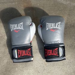 Grey Everlast Boxing Gloves Were Sold I Do Have Red Or Pink  12 Oz New Wrist Strap Training  Gloves $30 Firm
