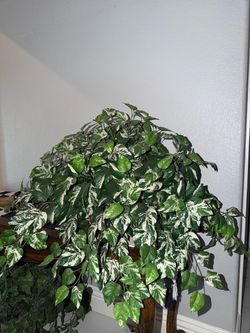 Faux Plants
