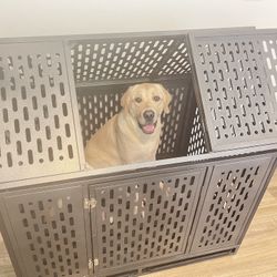 Dog crate: Heavy duty 