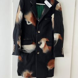 Parhela The Celestial Overcoat 