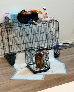 Large crate