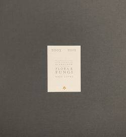 10th Vintage Of Scarecrow Flora & Fungi