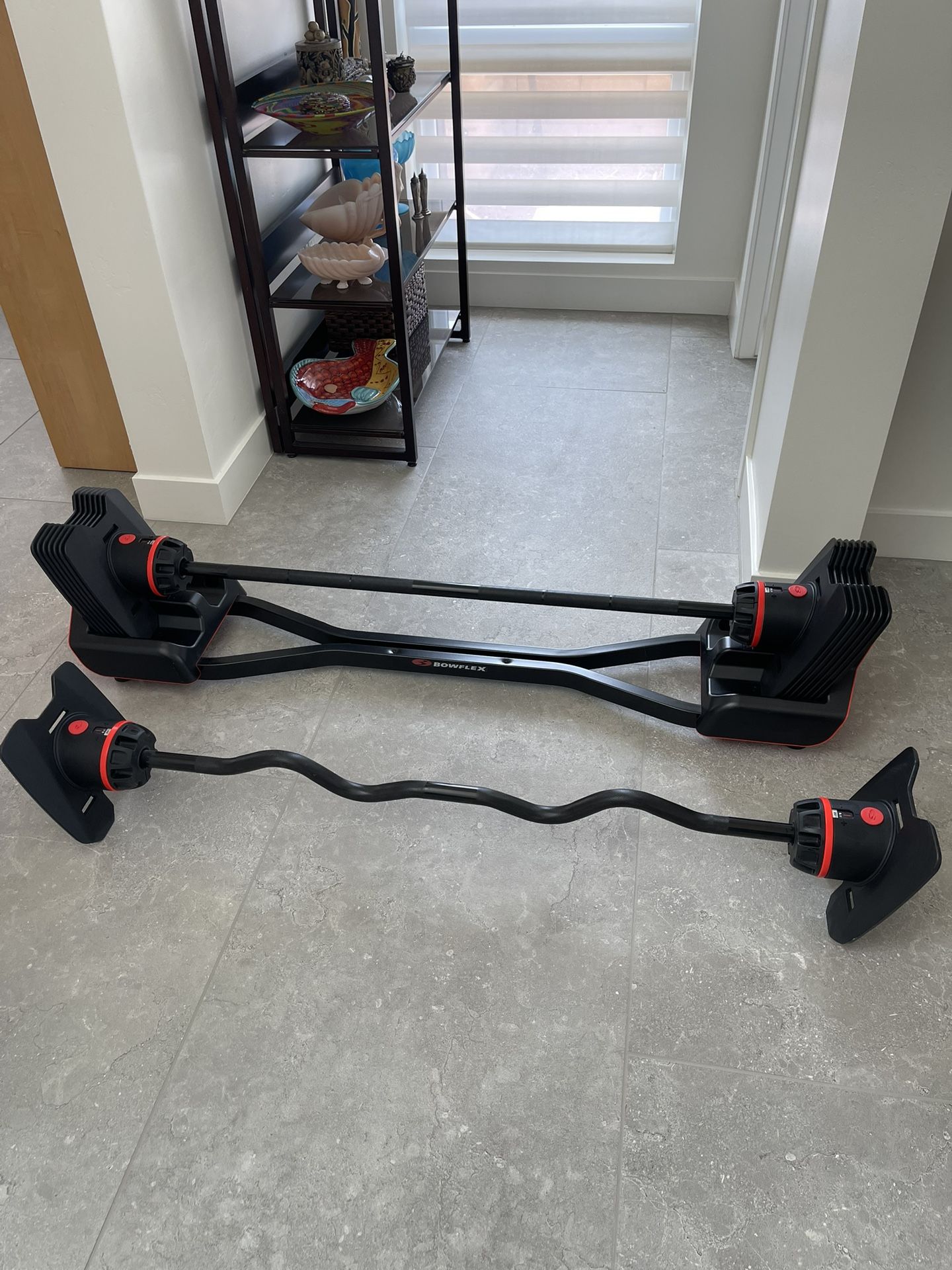 Bowflex SelectTech 2080 with Curlbar