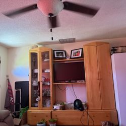 Entertainment Center