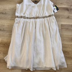 Women’s Plus size Dress