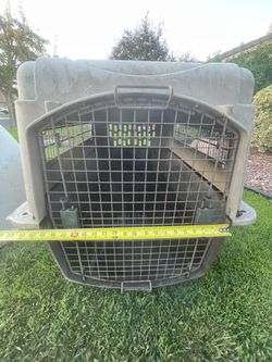 Large Plastic Pet Travel Crate