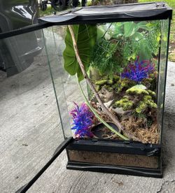 Tank / Terrarium /Reptile
