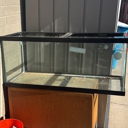 50 Gallon Fish Tank 