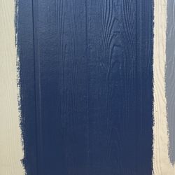 a100 Satin “naval” Paint 