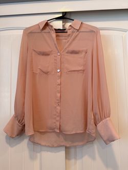 Blush Sheer Button-Down Blouse