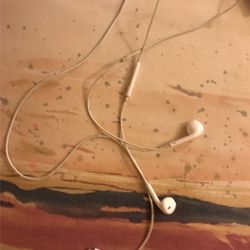 Apple Headphones 
