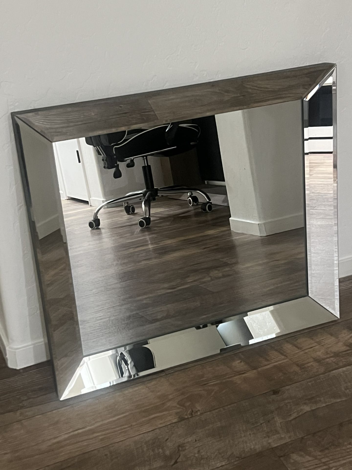 Mirrored Mirror 26x30