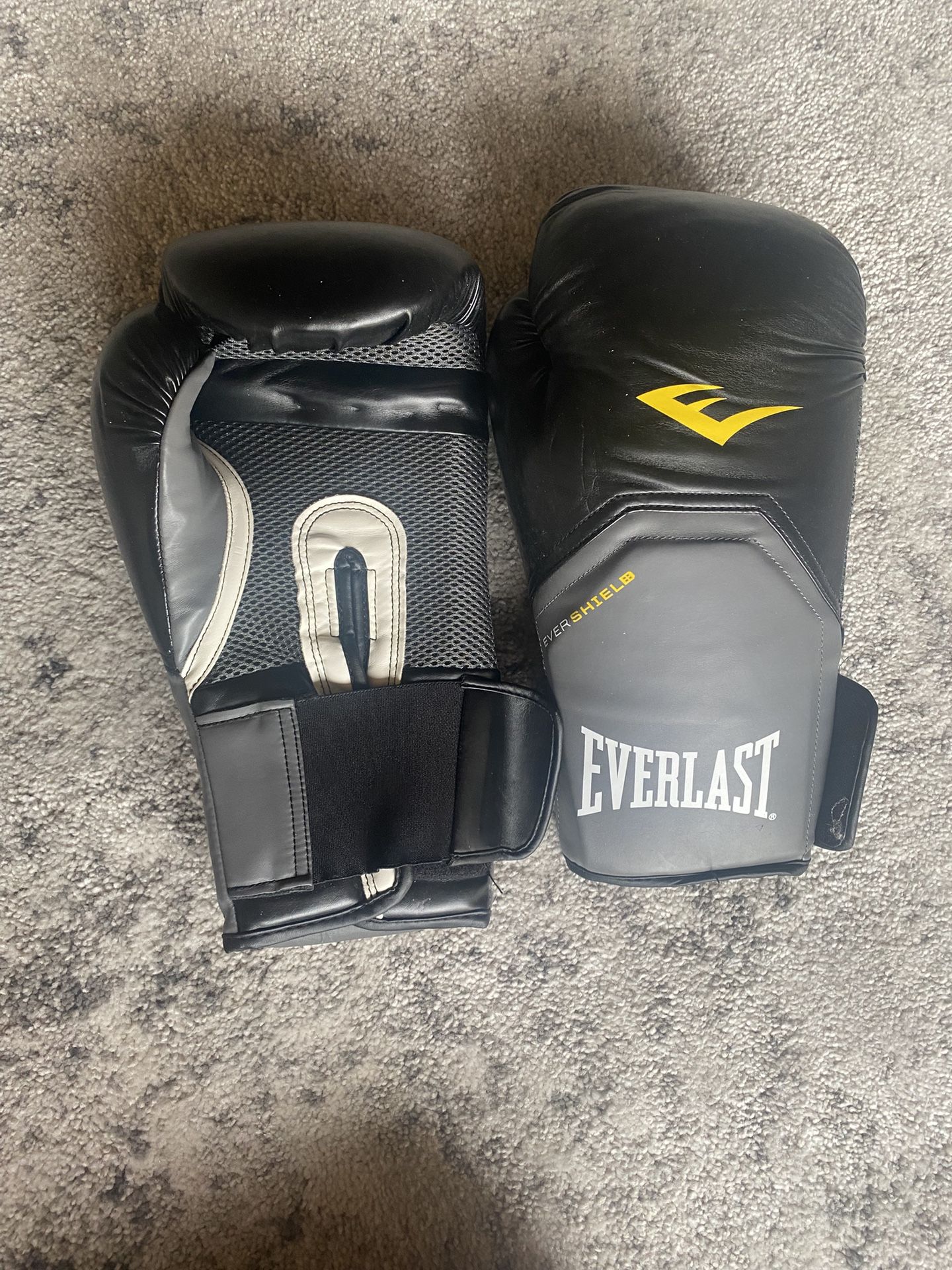 Everlast 16 ounce boxing gloves