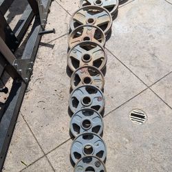 Weight Plates 