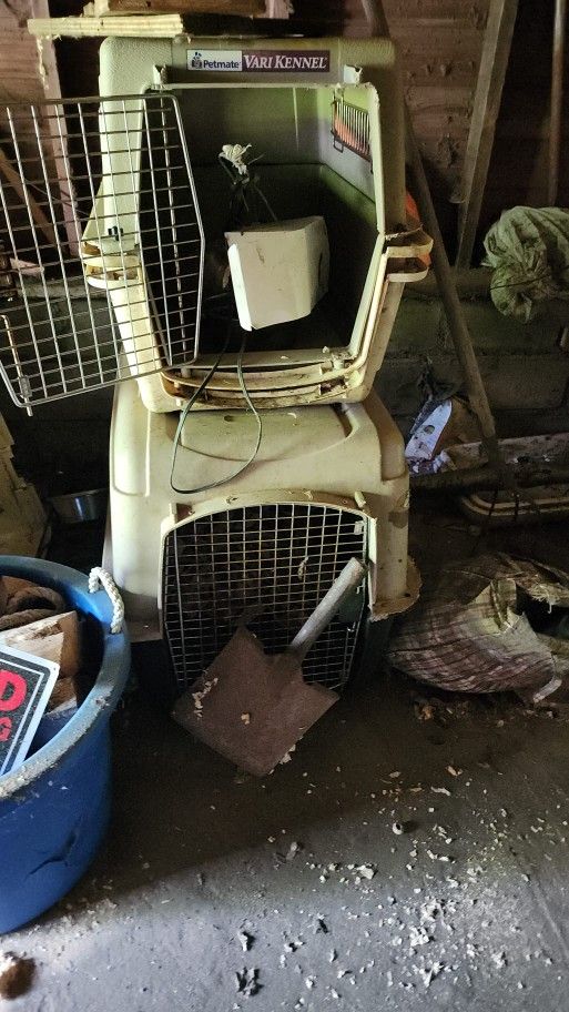 Dog Kennel