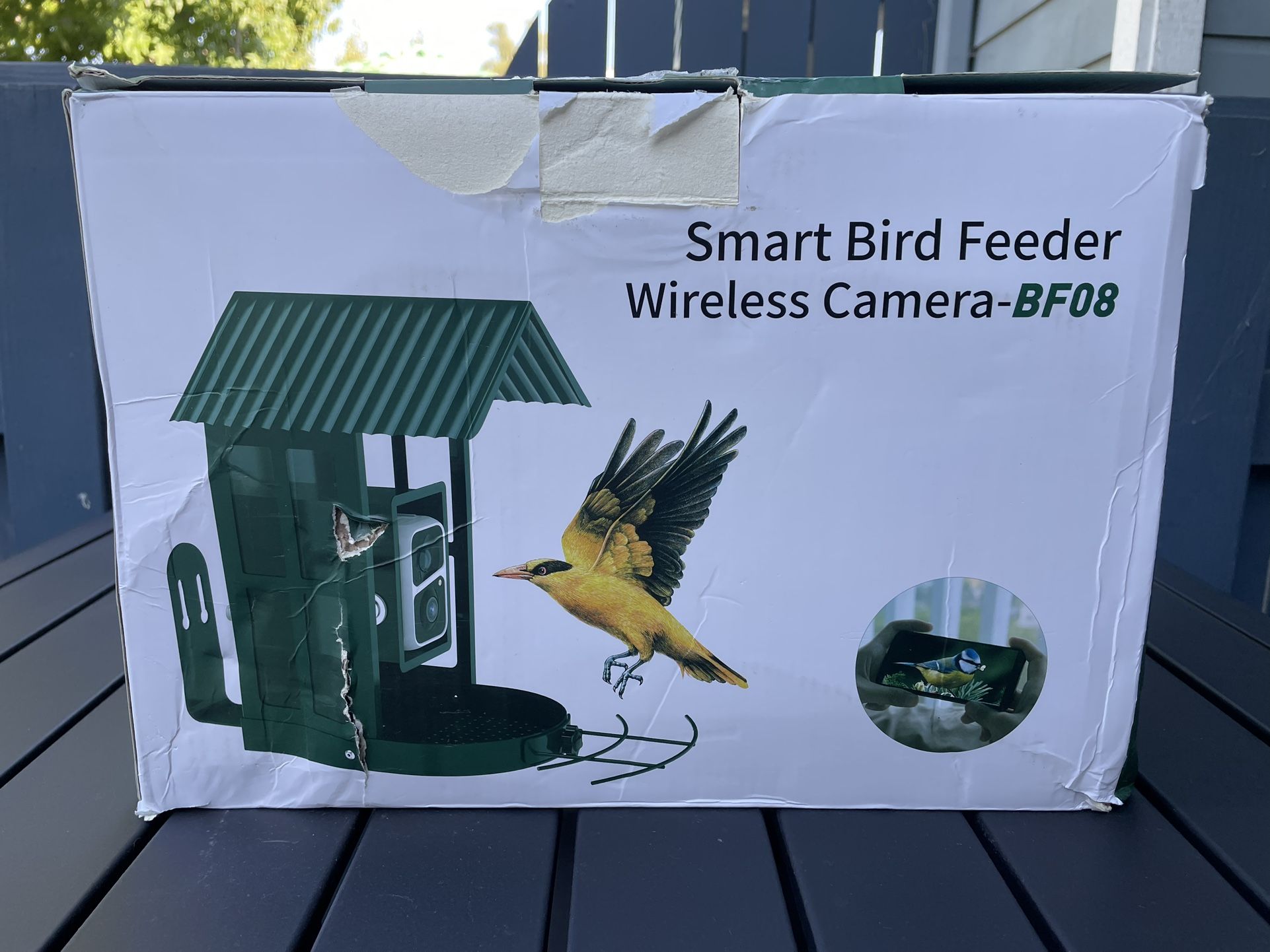 SOLIOM BF08- Smart Bird Feeder Camera with AI Identify Bird Species, Wild Bird Watching Cam, Live View, Instant Notifications, 5W Solar Panel -Metal C
