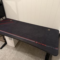 Computer / Gaming Desk