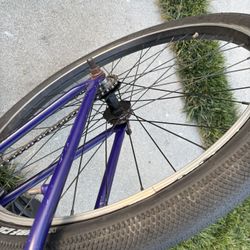 StreetCo 29 Back Rim