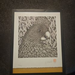 Patrick Christie (Australian)
Black COCKatoo
2008