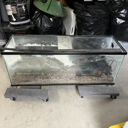 Fish/Turtle Tank
