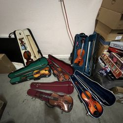 Violins 🎻 Various Prices