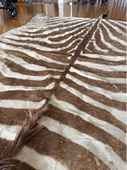 Authentic Zebra Hide Rug – Genuine African Zebra Skin w/ Tail