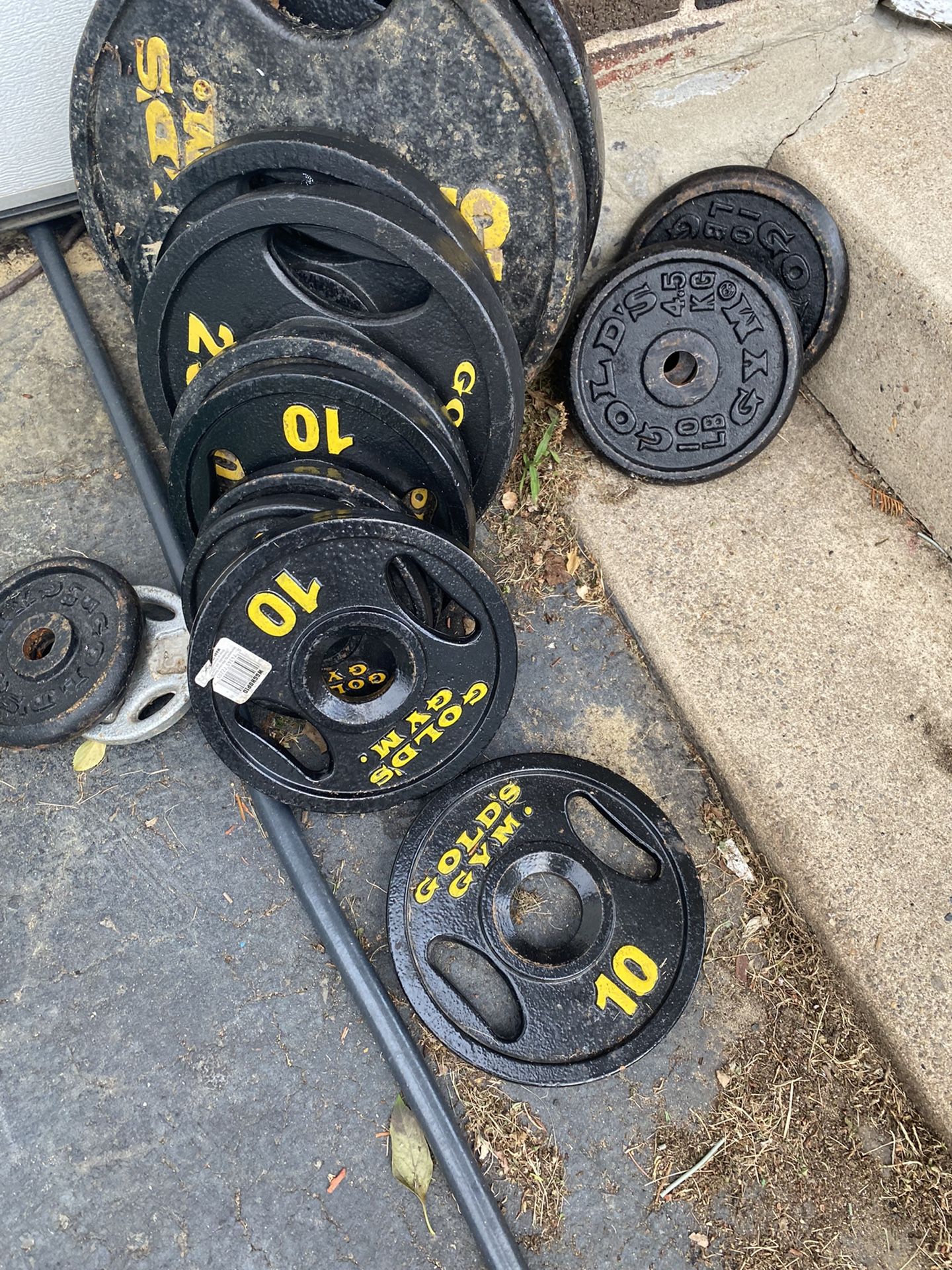 Weights,dumbbells Handed,7ft Olympic Bar,Olympic Curl Bar,standard Curl Bar