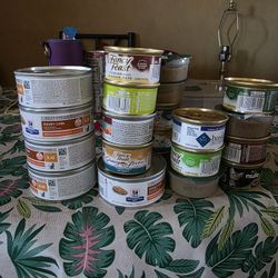 Cat Wet Food 21 Cans