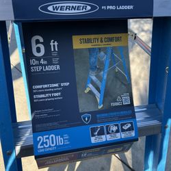Werner 6 Foot Ladder 